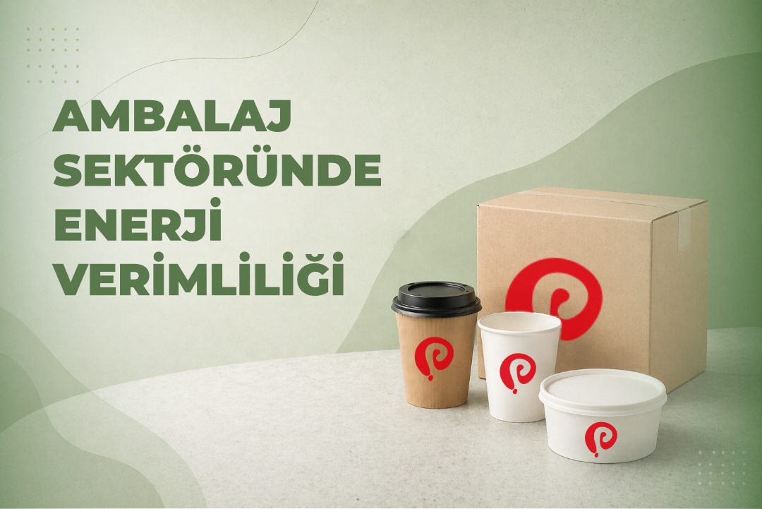 Karbonsuz Üretim ve Ambalaj Sektöründe Enerji Verimliliği